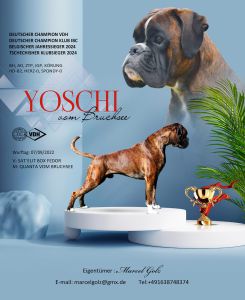 Yoschi vom Bruchsee